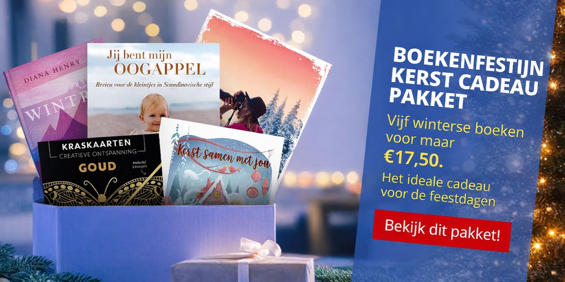 BF cadeaupakket kerst 2025_2